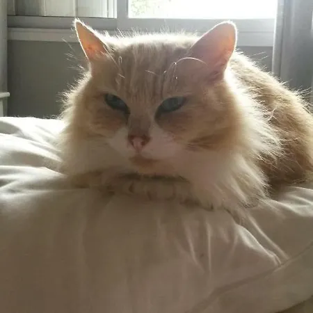 דירה Casa Reginella